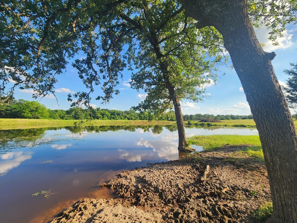 TBD Sweed Lot 8 Road , Washington, Texas image 14