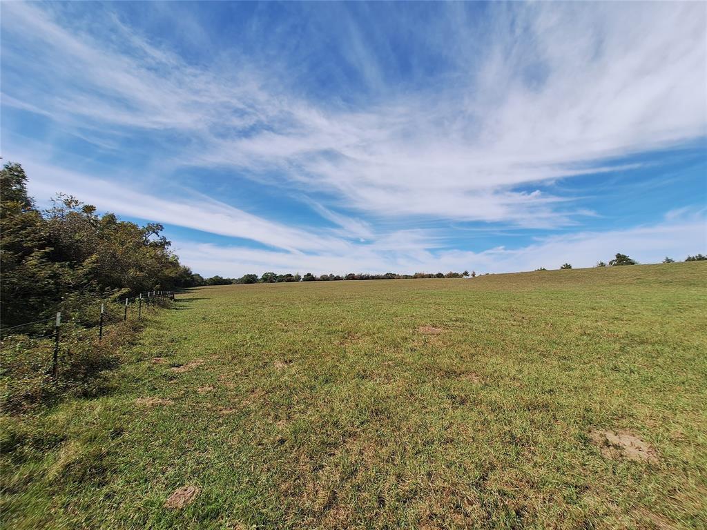 TBD Sweed Lot 8 Road , Washington, Texas image 17