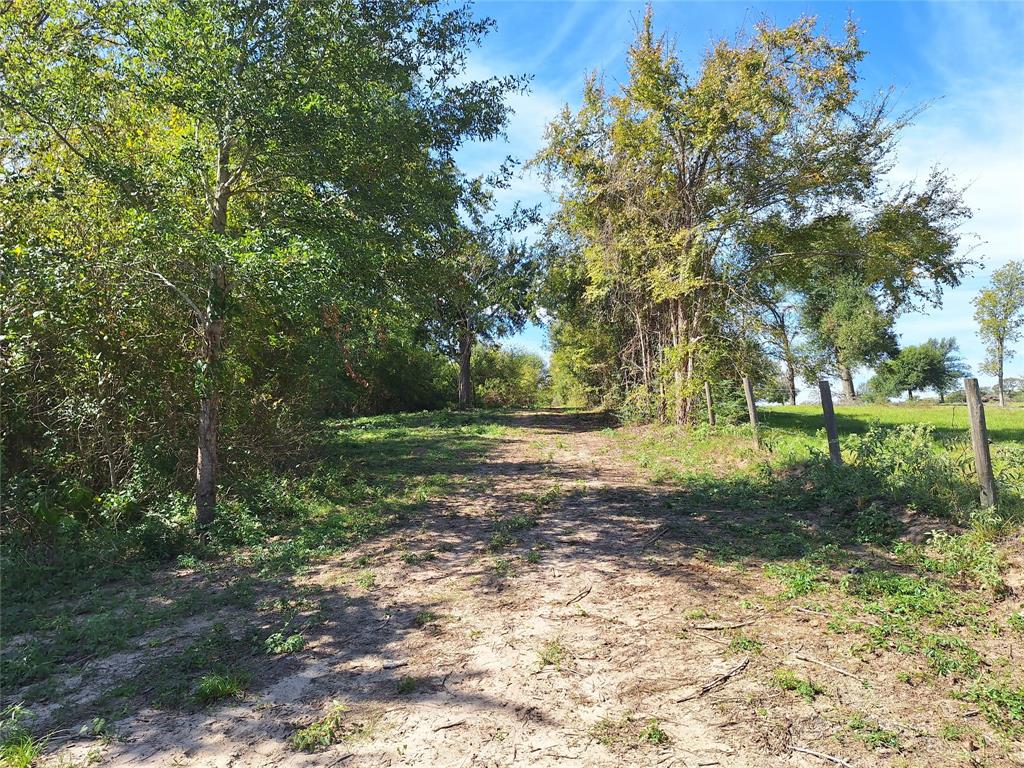 TBD Sweed Lot 8 Road , Washington, Texas image 24