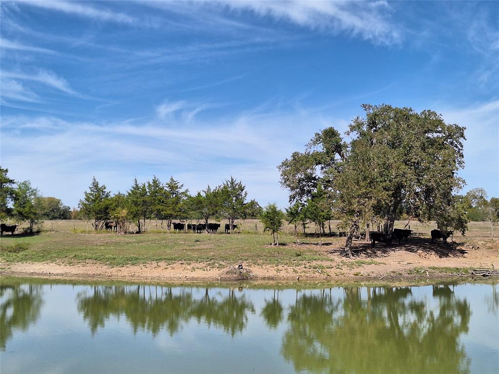 TBD Sweed Lot 8 Road , Washington, Texas image 26