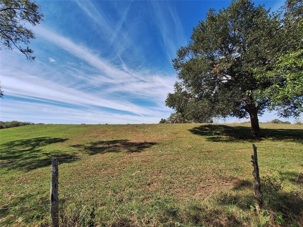 TBD Sweed Lot 8 Road , Washington, Texas image 10