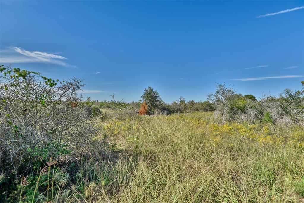 1316 Piney Woods Road  , Alleyton, Texas image 34