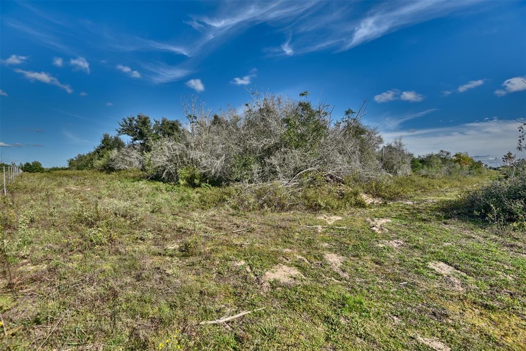 1316 Piney Woods Road  , Alleyton, Texas image 41