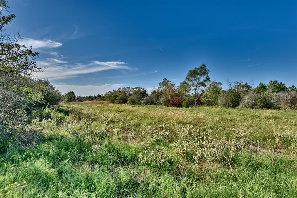 1316 Piney Woods Road  , Alleyton, Texas image 45