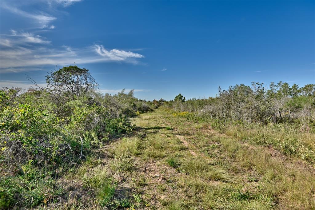 1316 Piney Woods Road  , Alleyton, Texas image 49