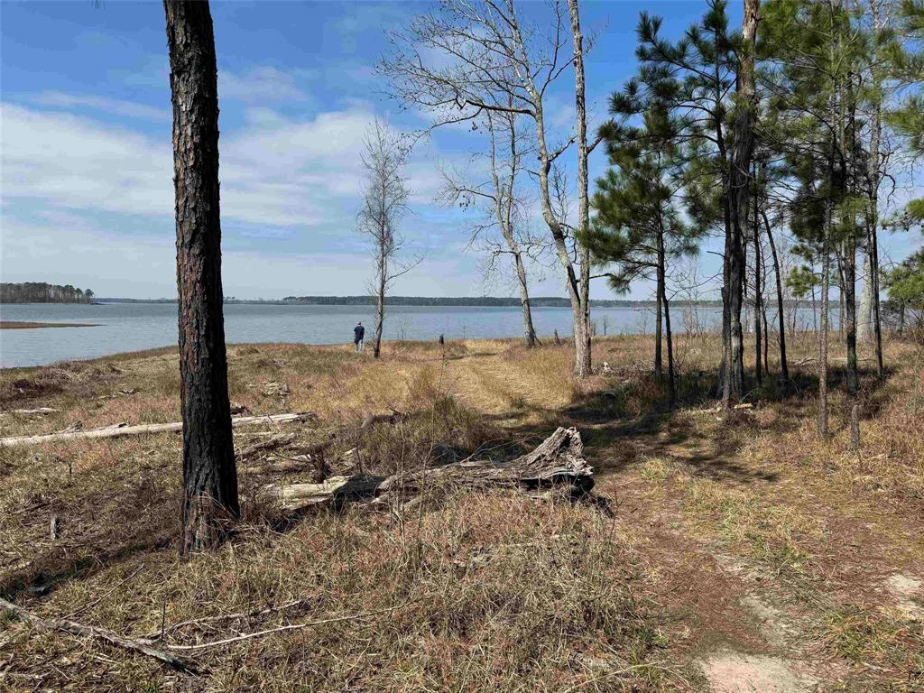 0000 Private Road 6029  , Brookeland, Texas image 11