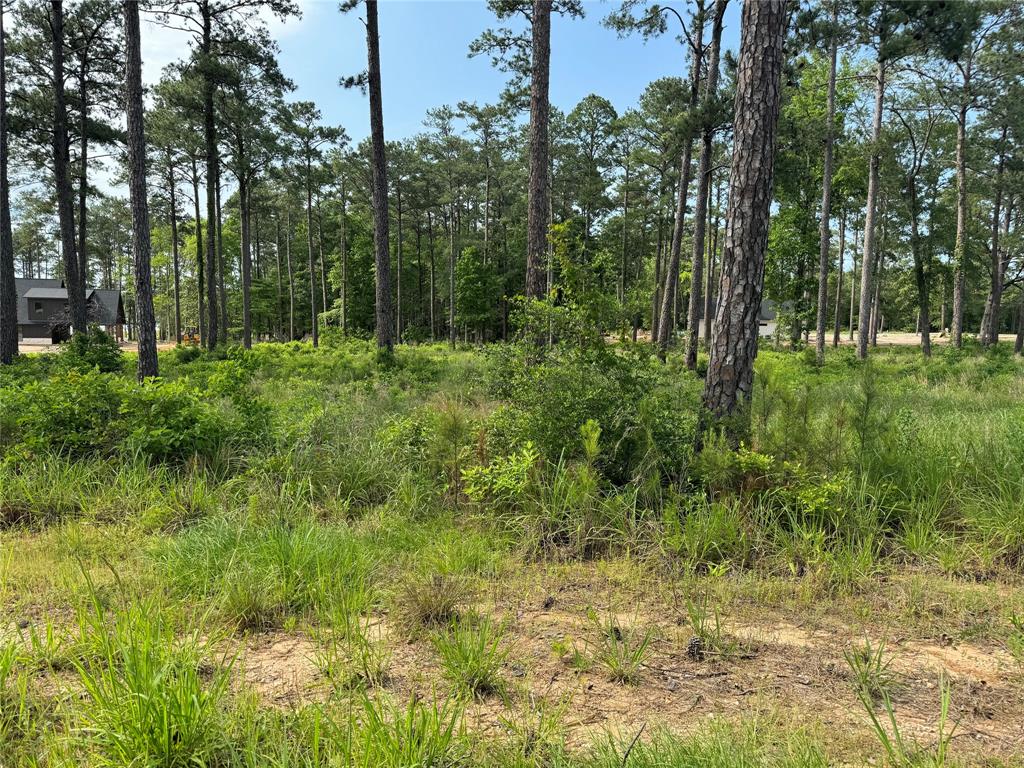 0000 Private Road 6029  , Brookeland, Texas image 6