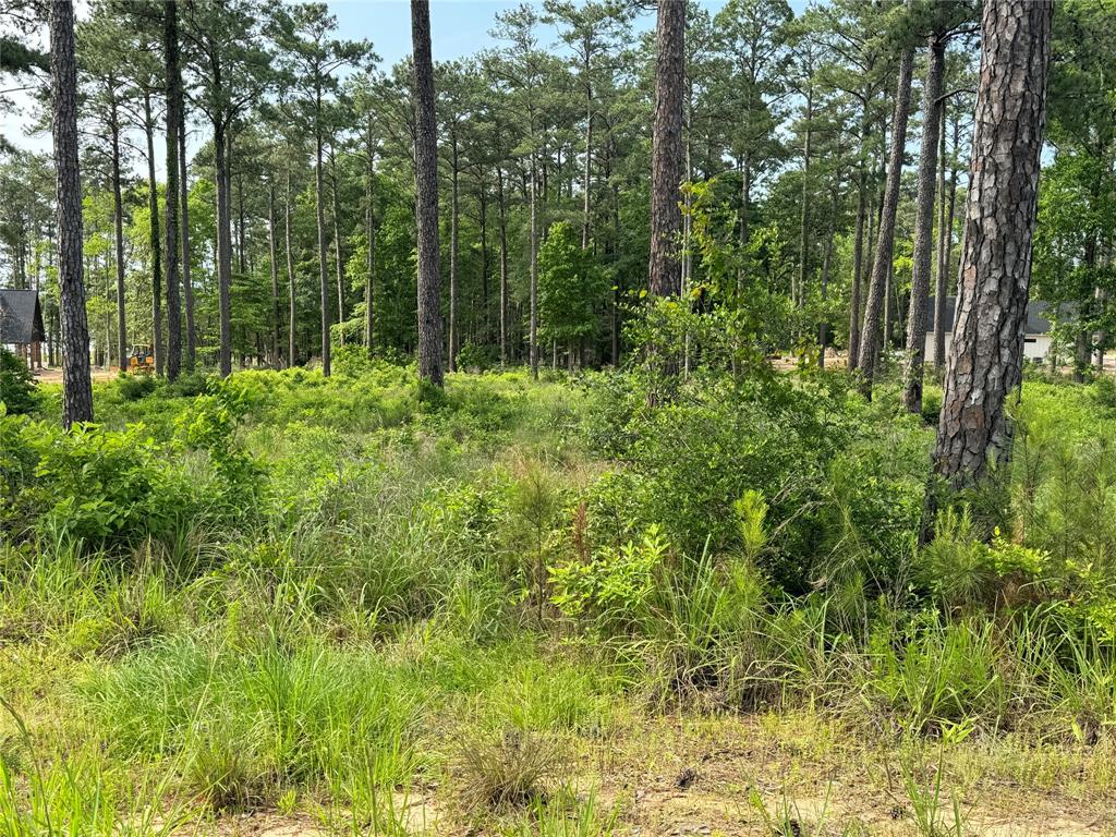 0000 Private Road 6029  , Brookeland, Texas image 7