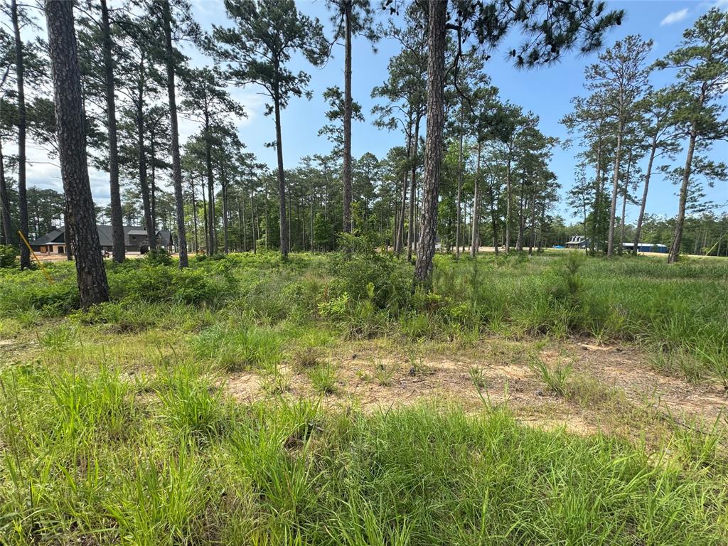 0000 Private Road 6029  , Brookeland, Texas image 9