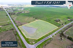 TRACT 1 FM 1291, Round Top, TX, 78940