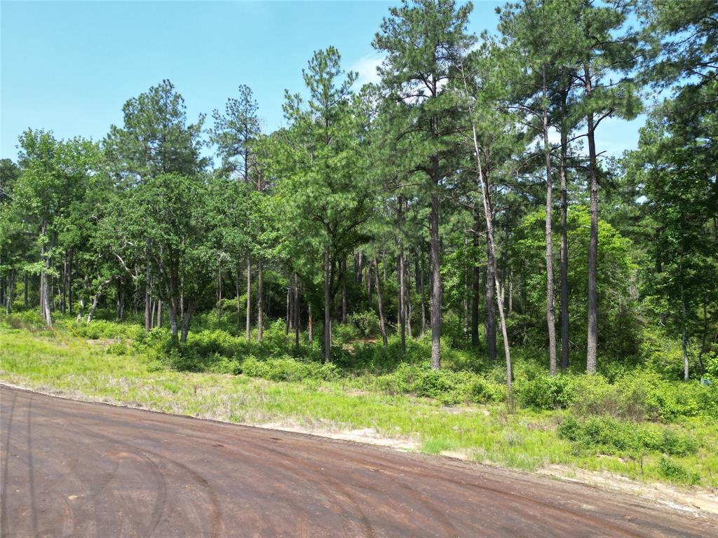 000 Pr 1314  , Centerville, Texas image 14