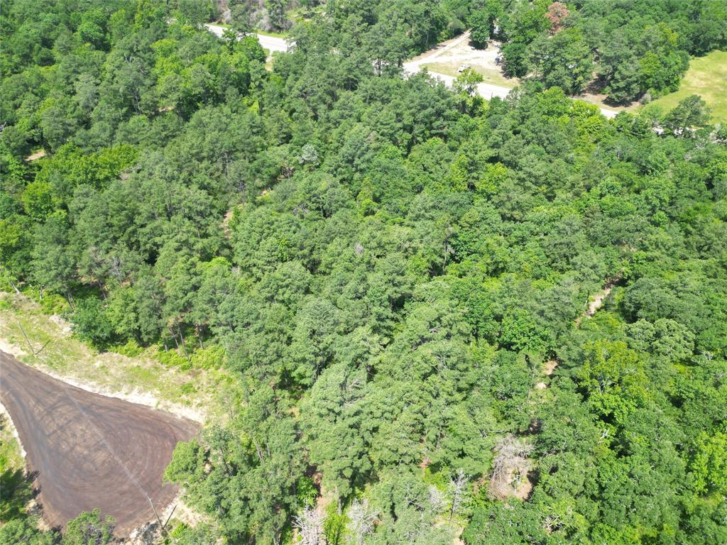 000 Pr 1314  , Centerville, Texas image 9