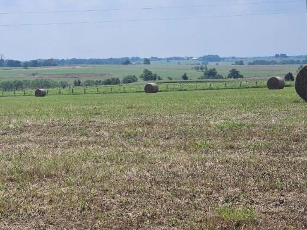 TBD Roitsch Road  , Schulenburg, Texas image 4