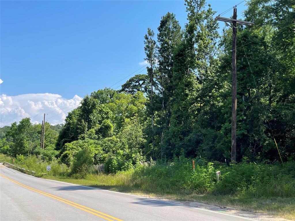 14-37-1 Dipping Vat Road , New Waverly, Texas image 9