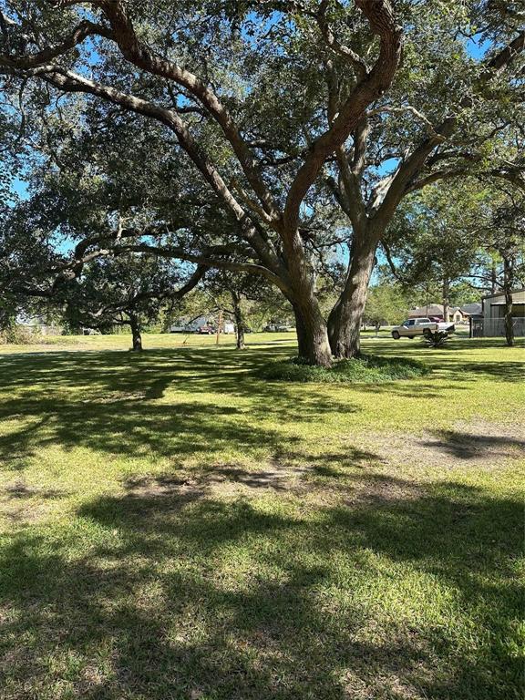 Walnut/maple Street , Sweeny, Texas image 4