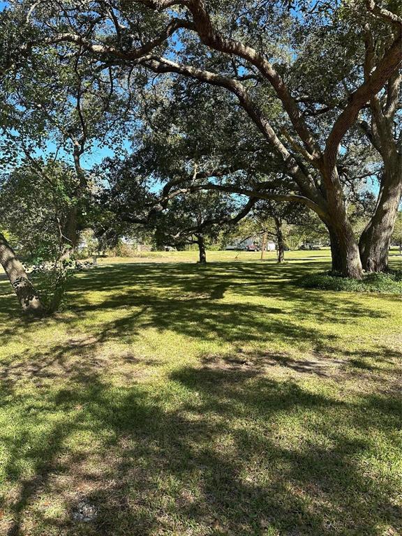 Walnut/maple Street , Sweeny, Texas image 5