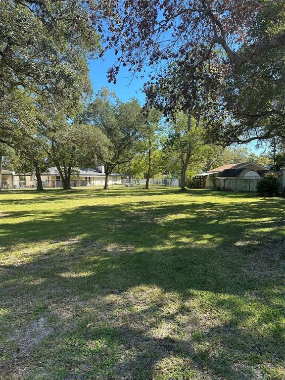 Walnut/maple Street , Sweeny, Texas image 6