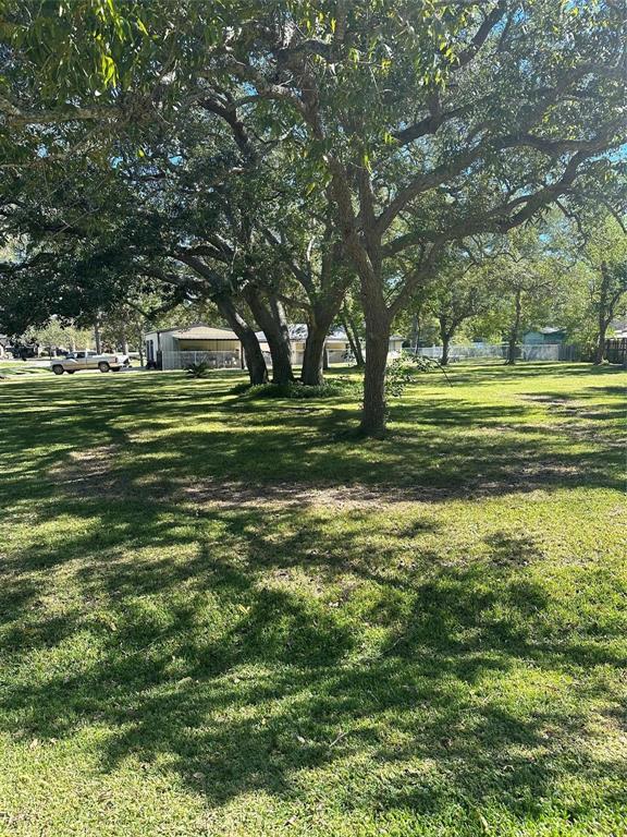 Walnut/maple Street , Sweeny, Texas image 7