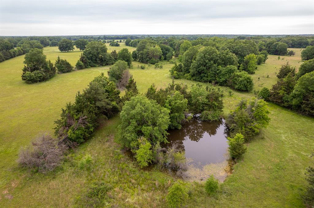 TBD County Road 1280  , Clarksville, Texas image 4