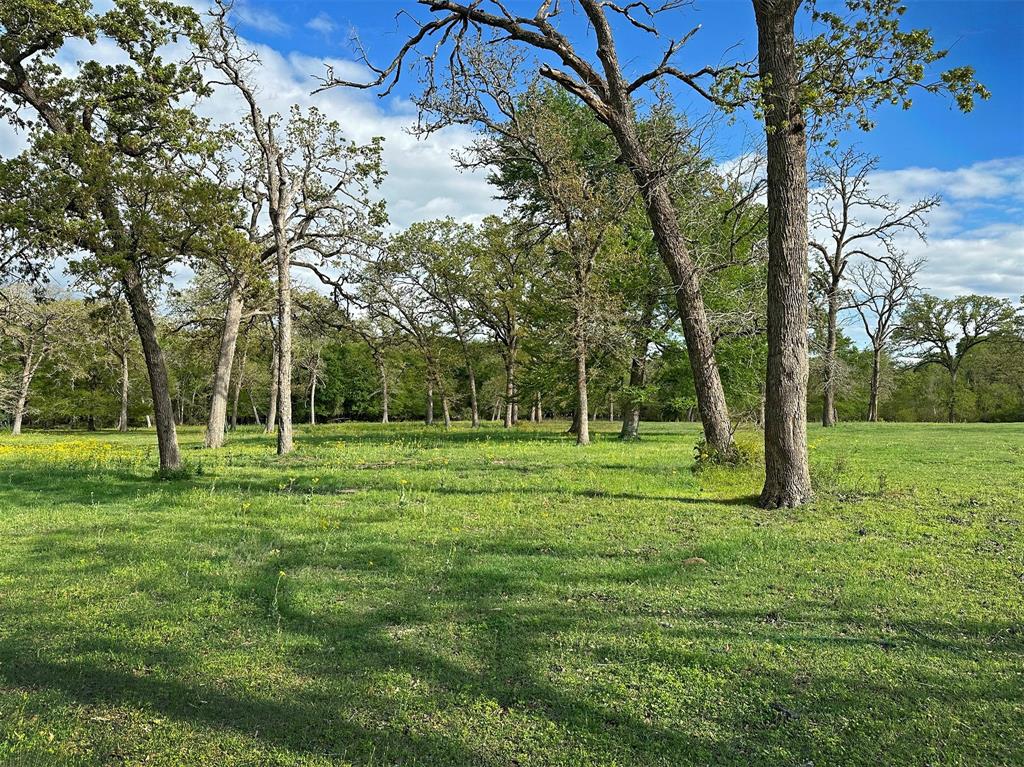 . Gaskamp Road , Washington, Texas image 13