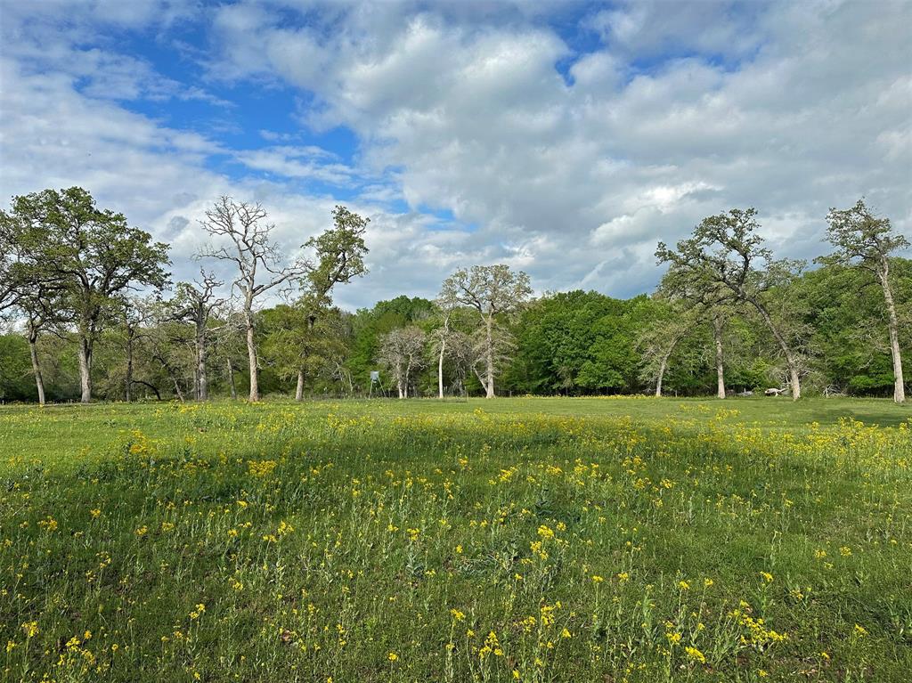 . Gaskamp Road , Washington, Texas image 5