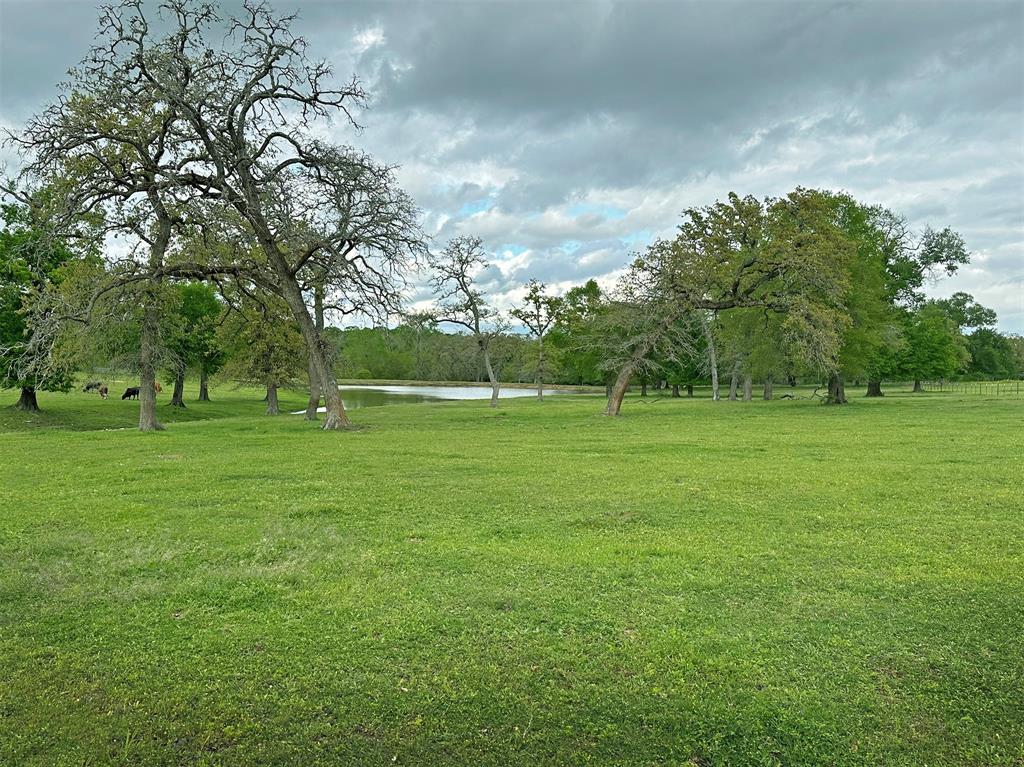 . Gaskamp Road , Washington, Texas image 6