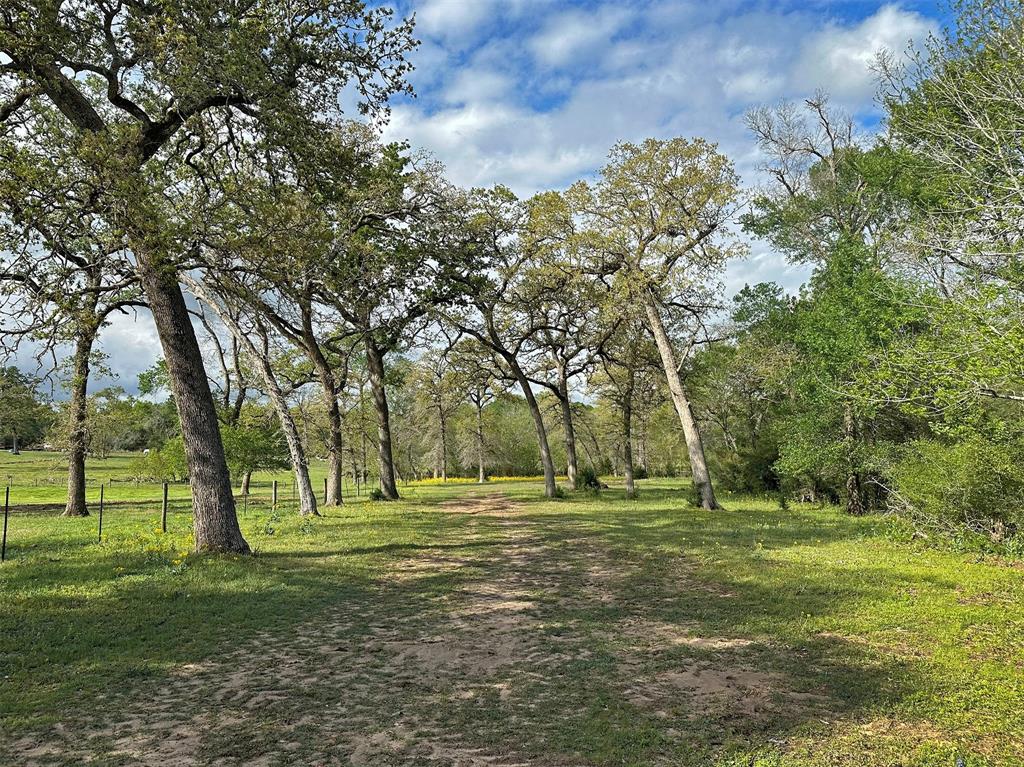 . Gaskamp Road , Washington, Texas image 9