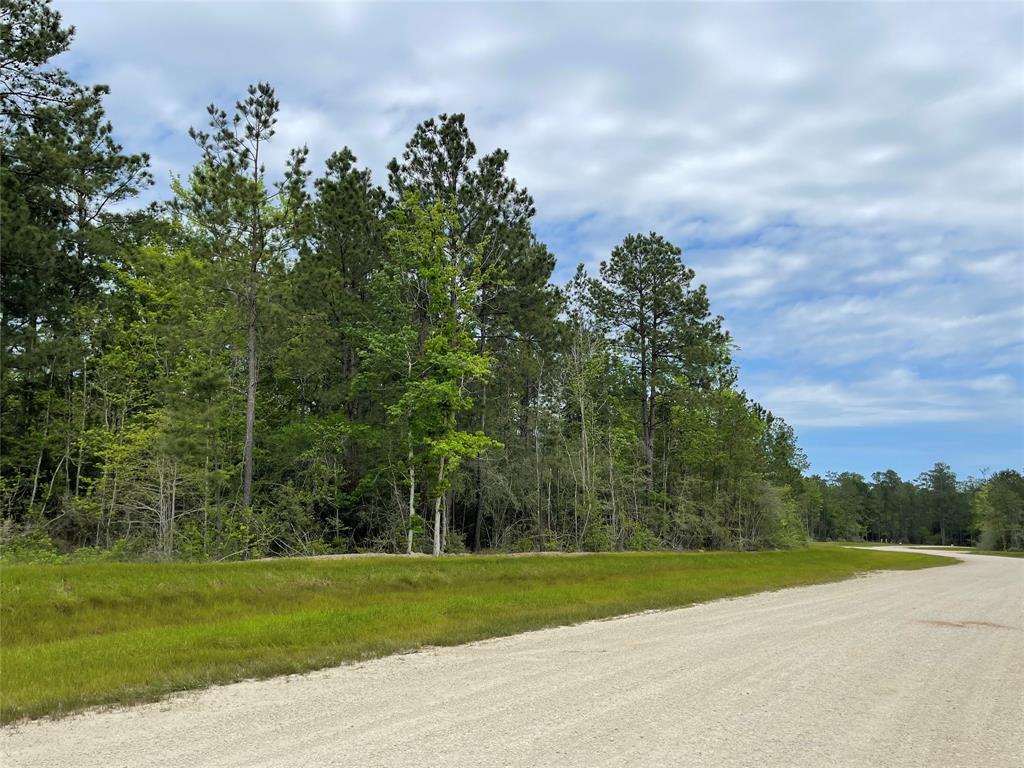 127 Gypsum Road , New Waverly, Texas image 6