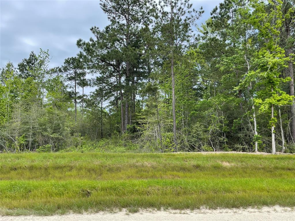 127 Gypsum Road , New Waverly, Texas image 7