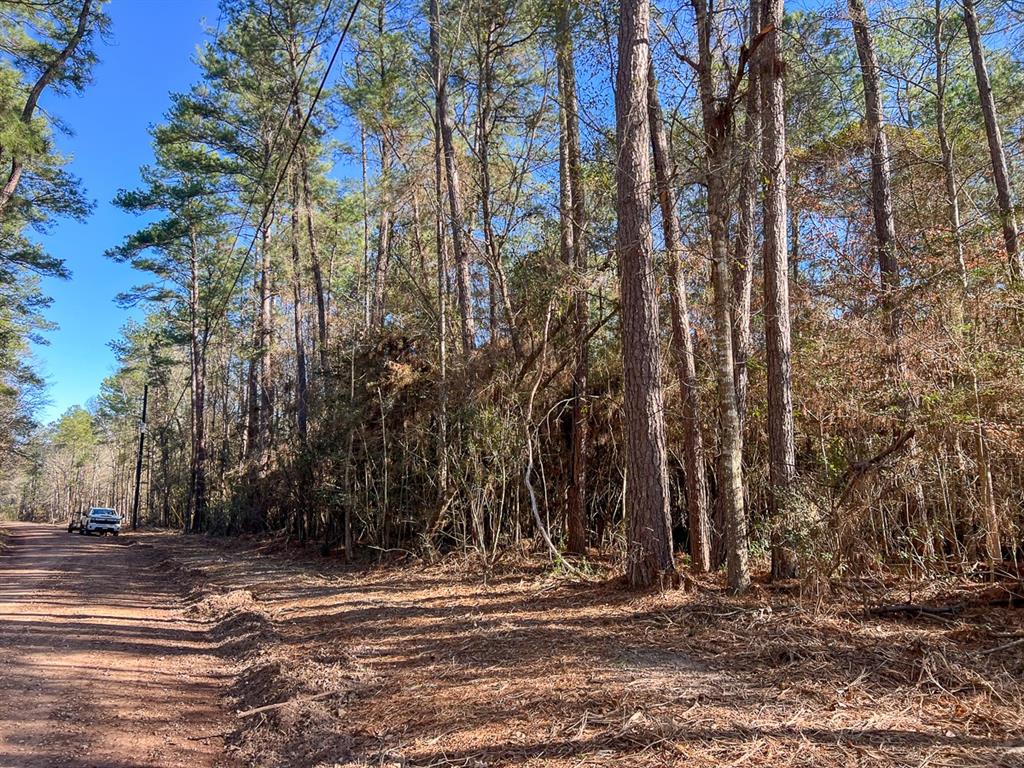 County Road 4810  , Warren, Texas image 7