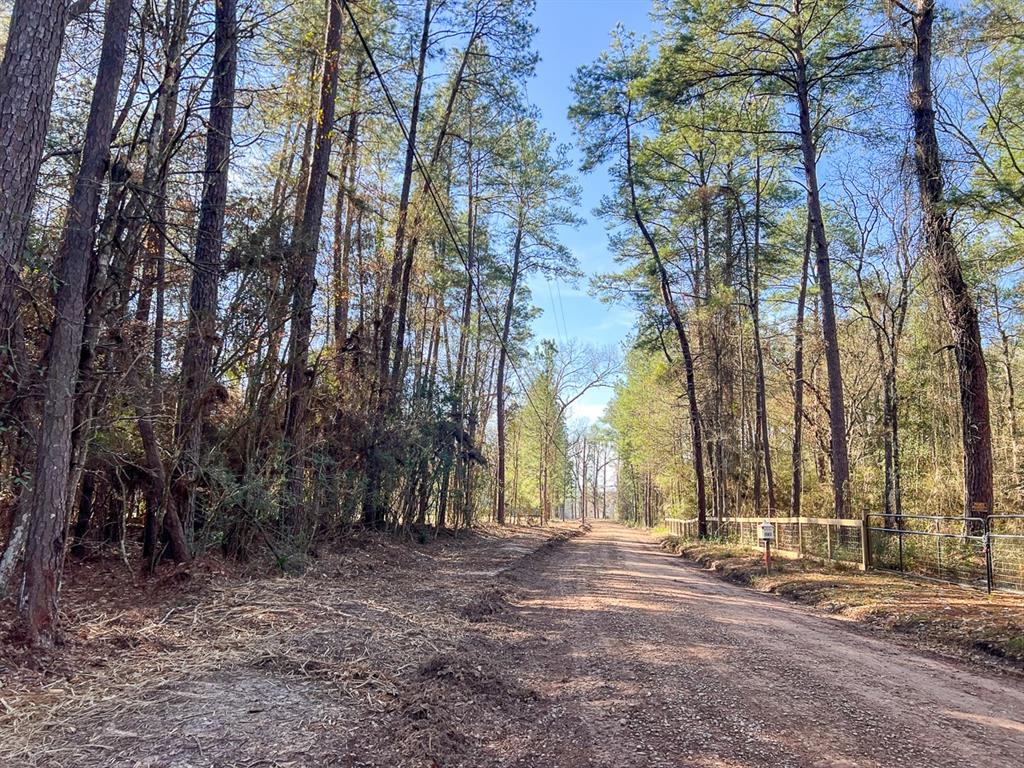 County Road 4810  , Warren, Texas image 9