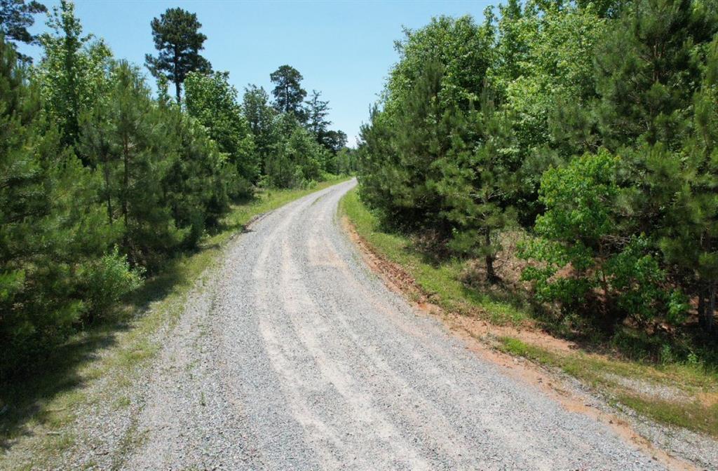 TBD Cr 432  , Tenaha, Texas image 22