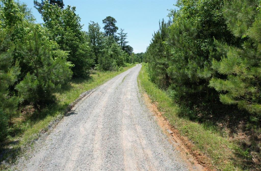 TBD Cr 432  , Tenaha, Texas image 23