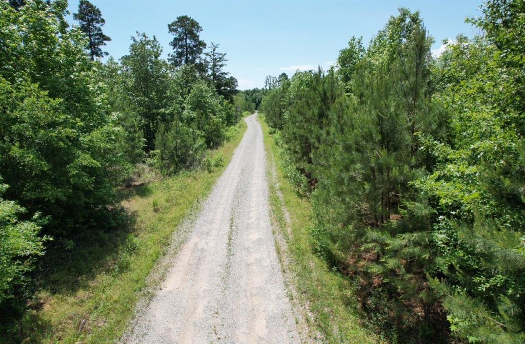 TBD Cr 432  , Tenaha, Texas image 24