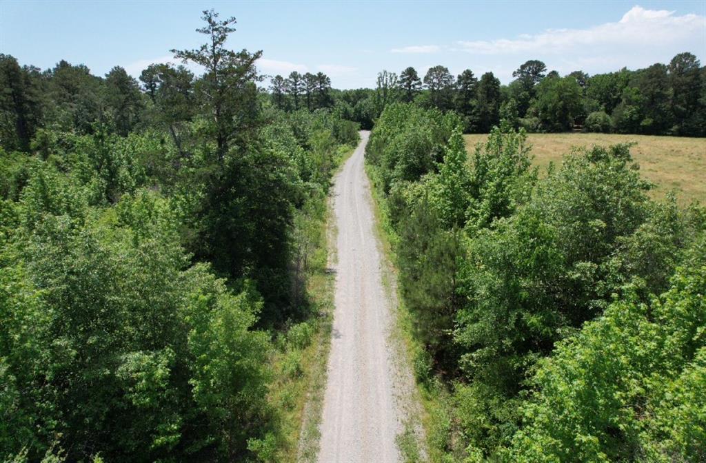 TBD Cr 432  , Tenaha, Texas image 25