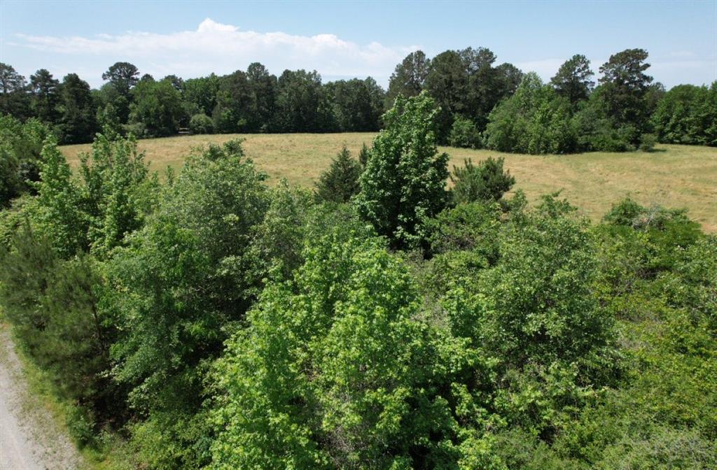 TBD Cr 432  , Tenaha, Texas image 26