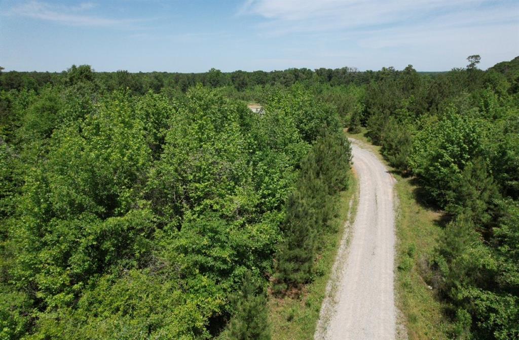 TBD Cr 432  , Tenaha, Texas image 28