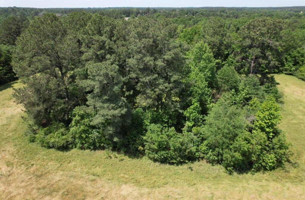 TBD Cr 432  , Tenaha, Texas image 32