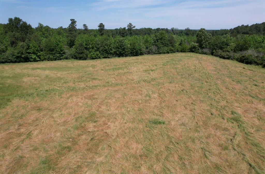 TBD Cr 432  , Tenaha, Texas image 36