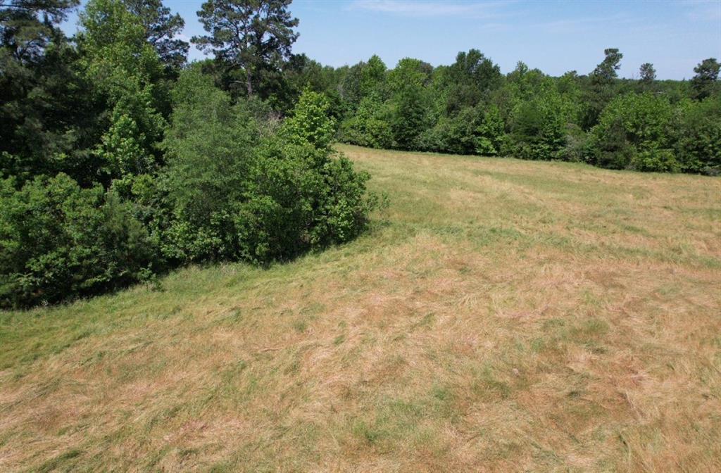 TBD Cr 432  , Tenaha, Texas image 37