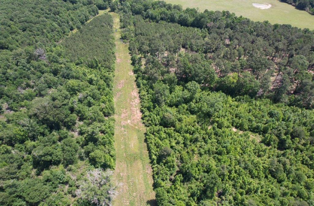 TBD Cr 432  , Tenaha, Texas image 6