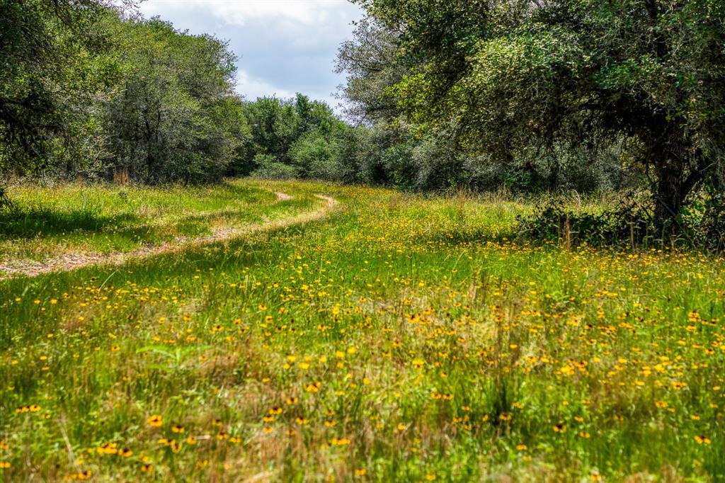 1550 Vaughn Road , Yoakum, Texas image 13