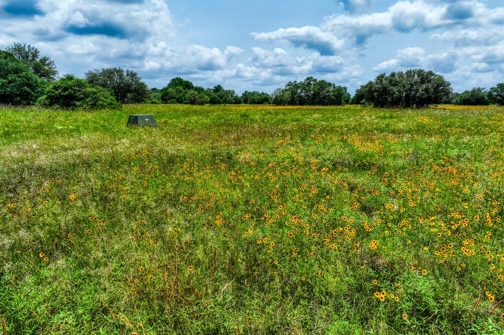 1550 Vaughn Road , Yoakum, Texas image 14