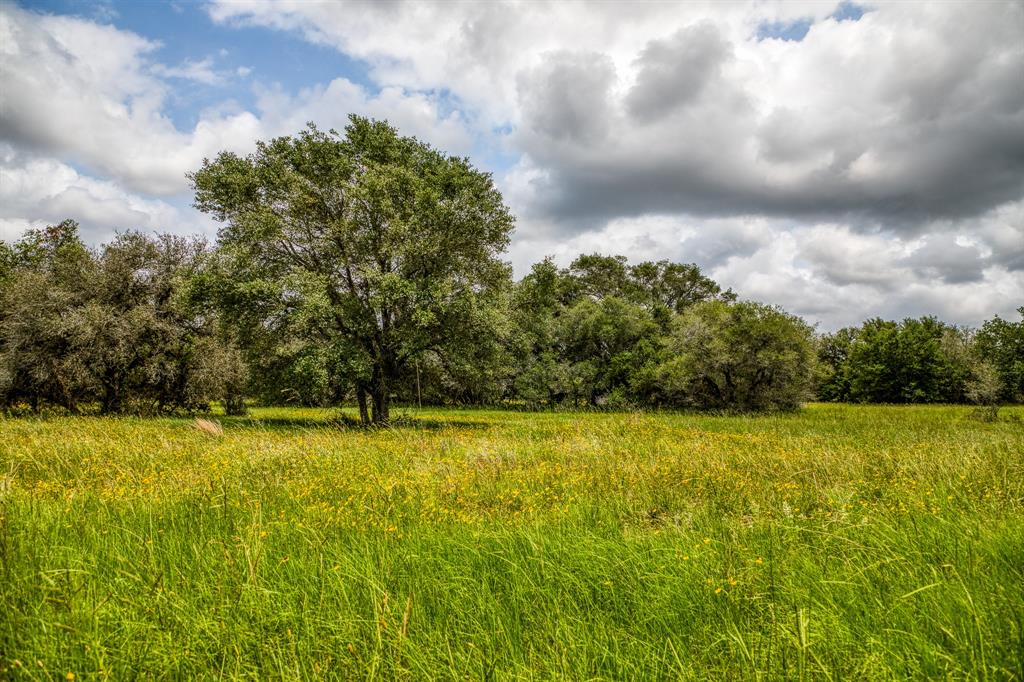 1550 Vaughn Road , Yoakum, Texas image 10