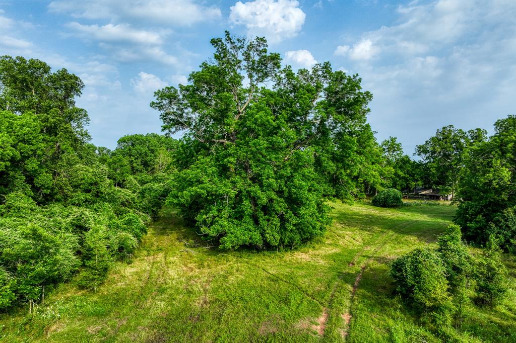 9768 Heron Lane , Bellville, Texas image 12