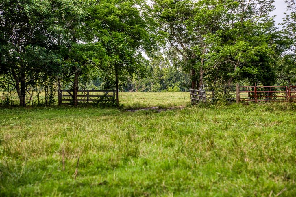 9768 Heron Lane , Bellville, Texas image 7