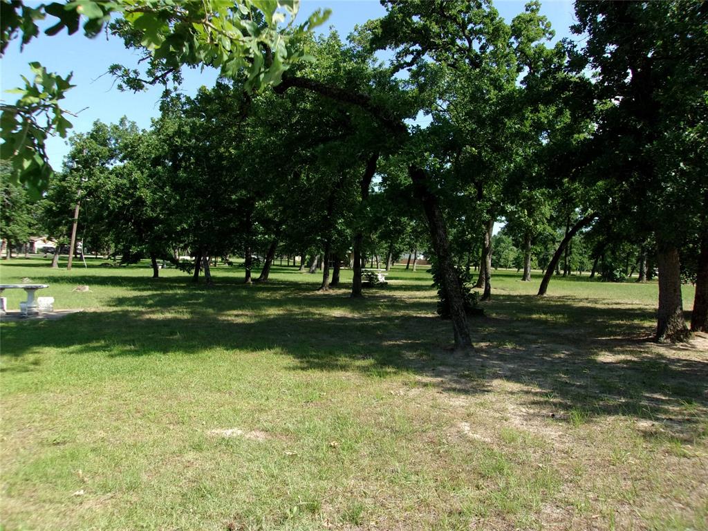 TBD Deerwood Drive  , Hempstead, Texas image 10