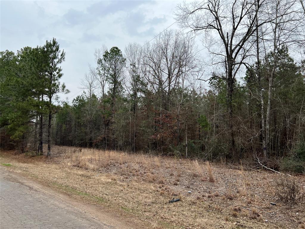 TBD County Road 325  , De Berry, Texas image 3