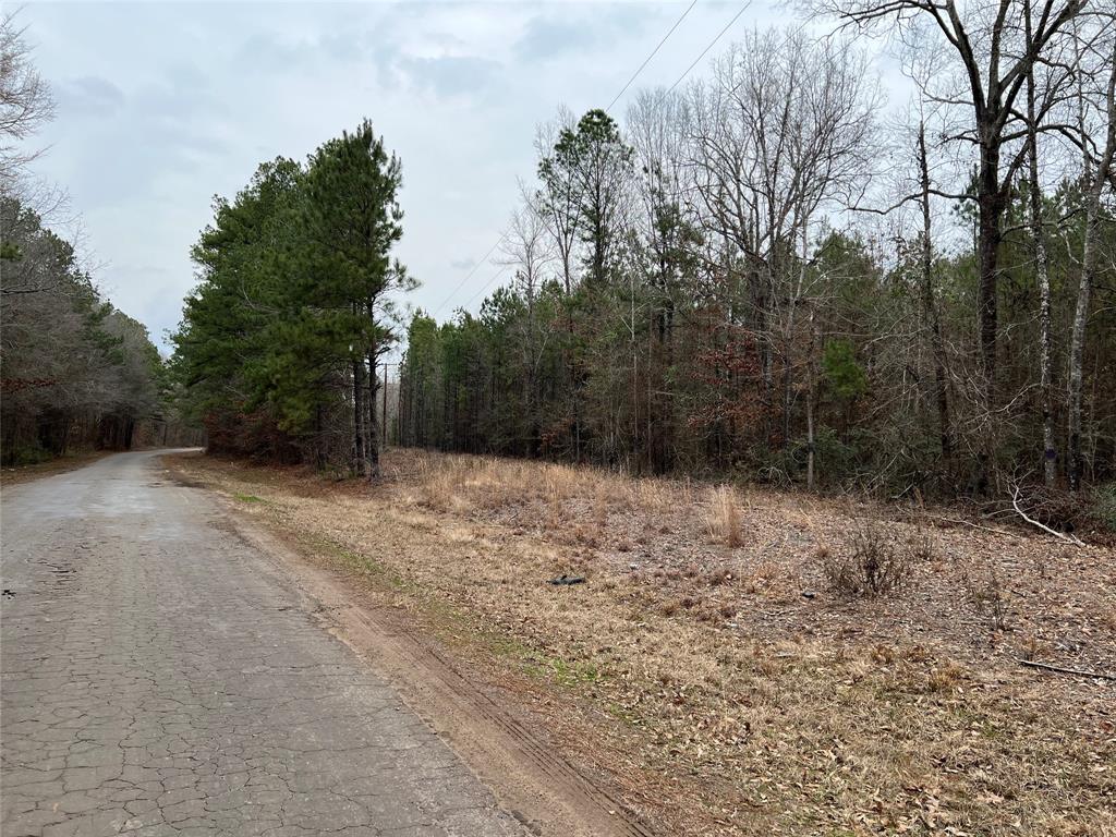 TBD County Road 325  , De Berry, Texas image 4