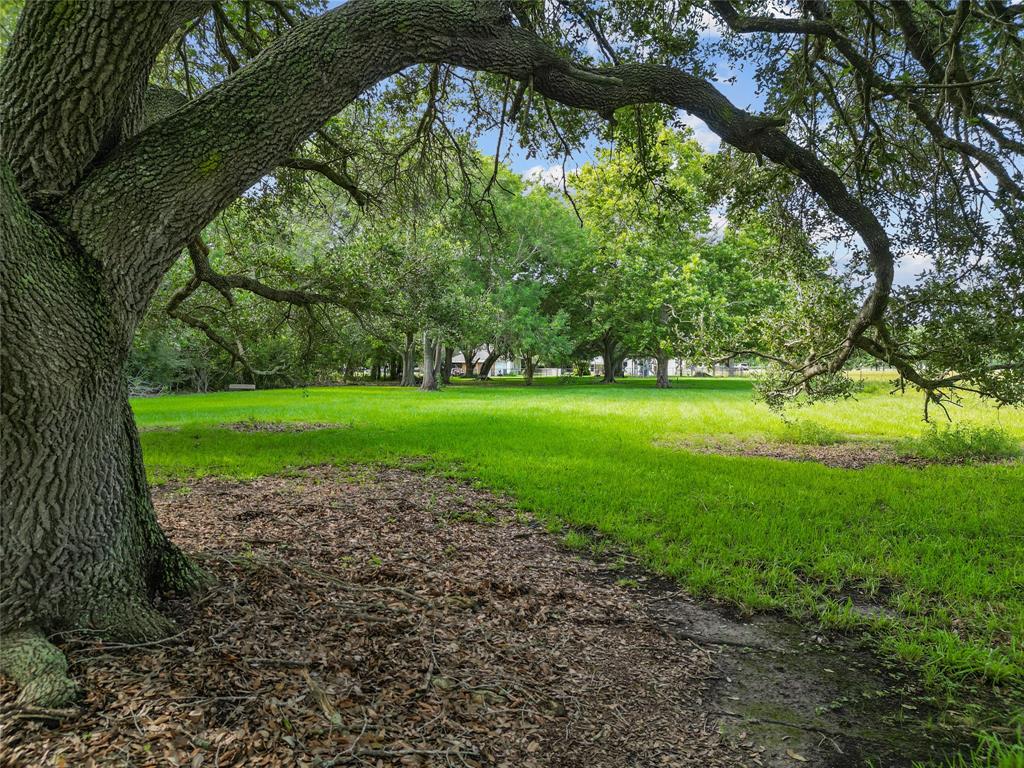 13913 Cedar Street , Santa Fe, Texas image 33